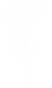 Logo perottiweiklein